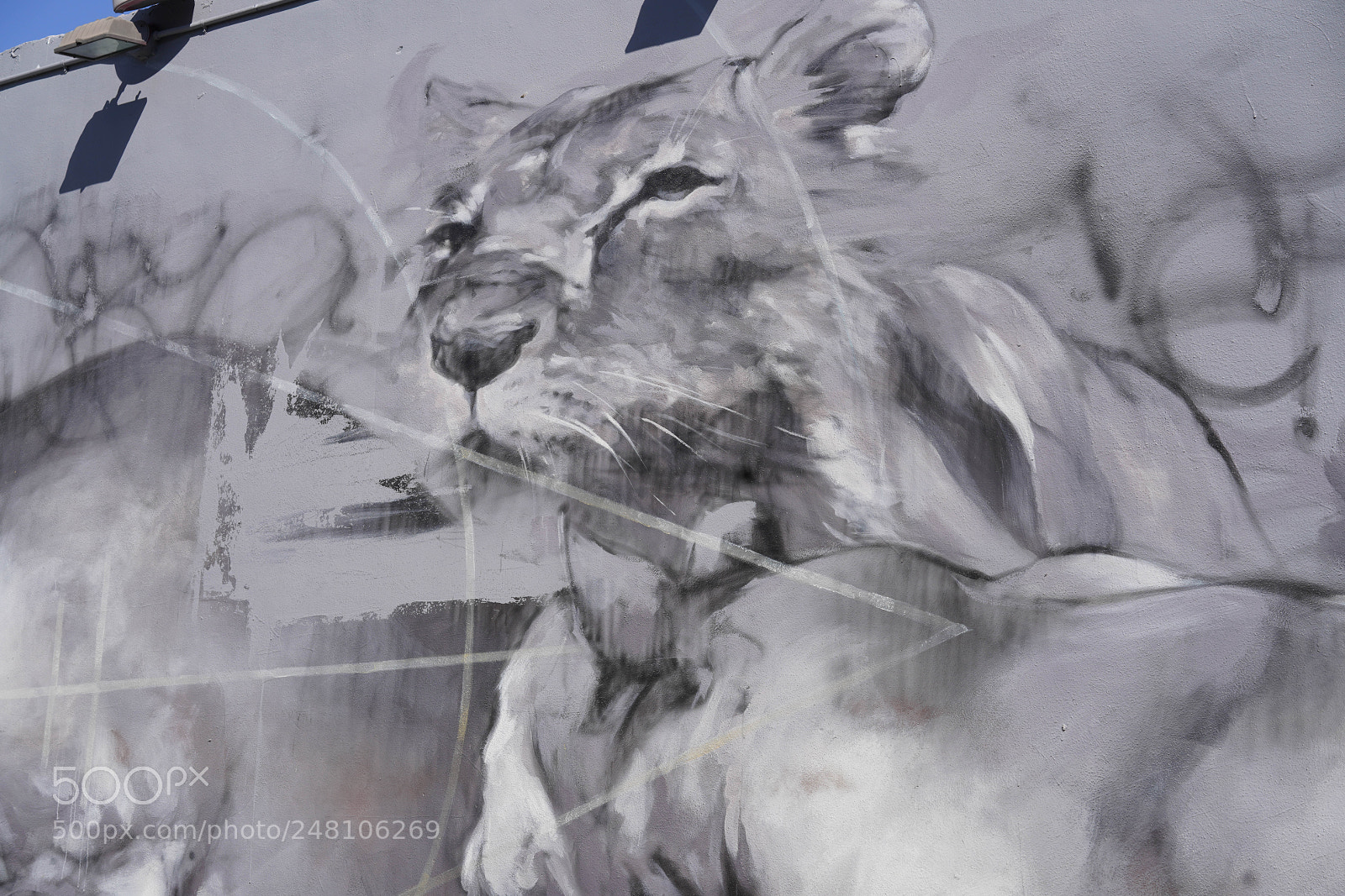 Sony a7R III sample photo. Wynwood walls and streets 2018 photography
