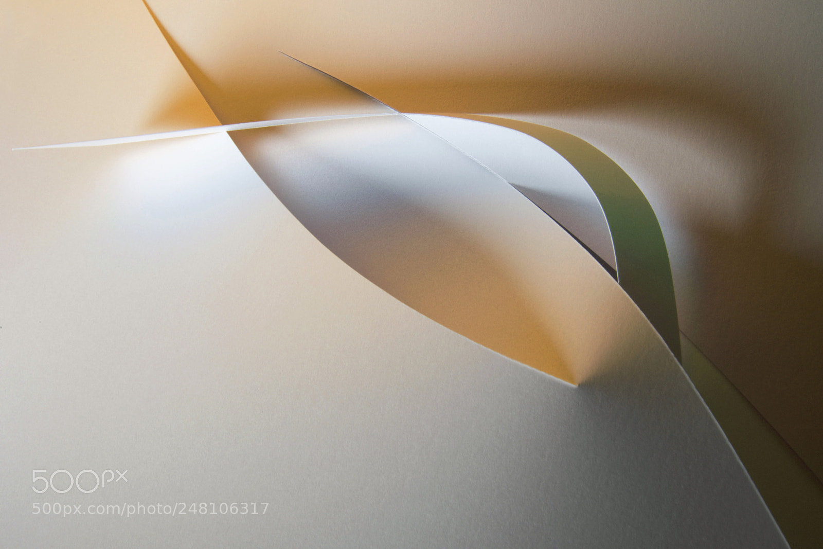 Nikon D810 sample photo. Outer face photography