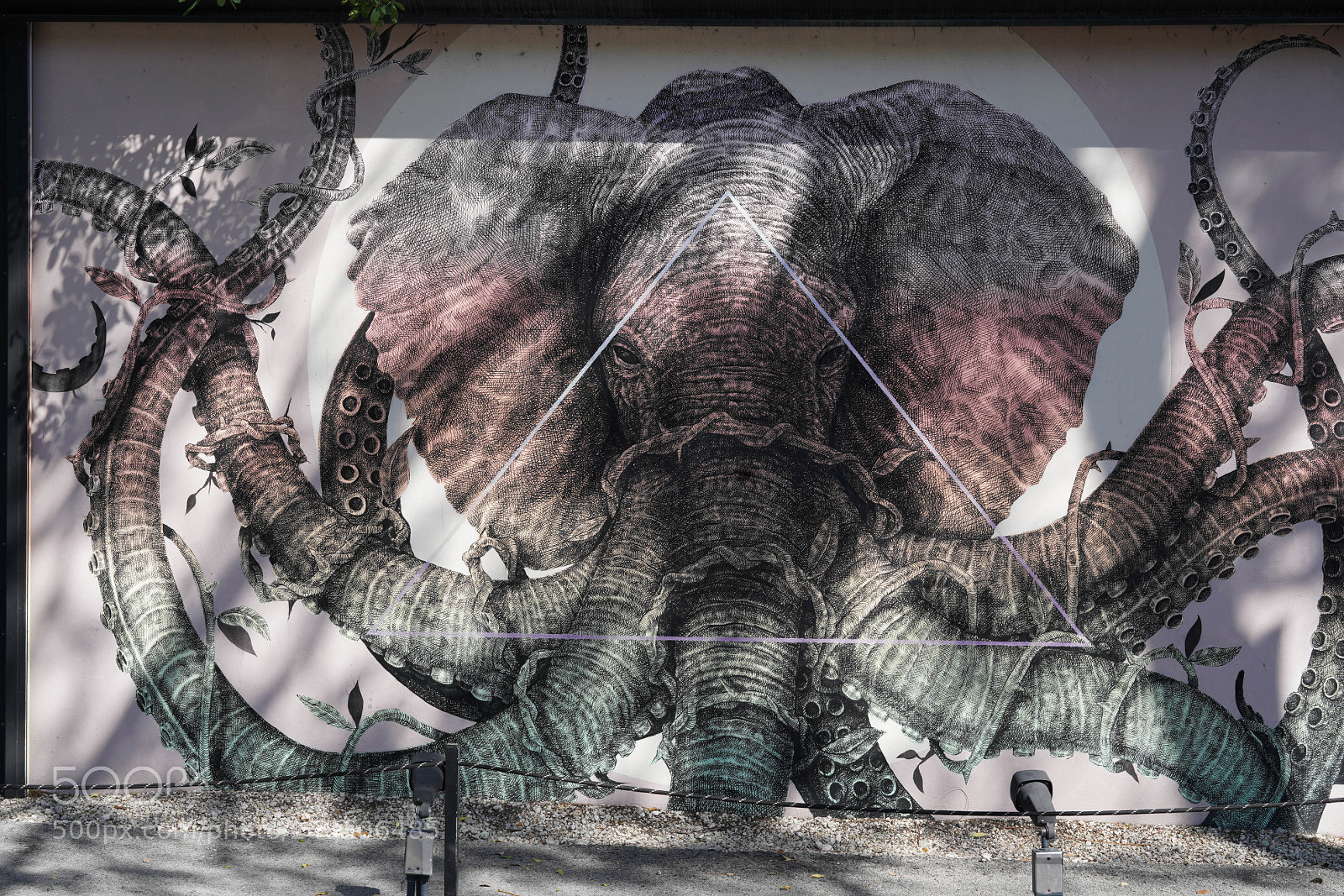 Sony a7R III sample photo. Wynwood walls and streets 2018 photography