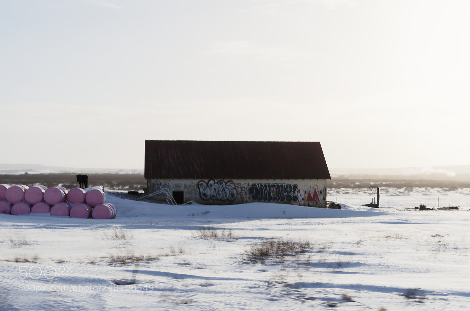 Nikon D5100 sample photo. Grafitti photography