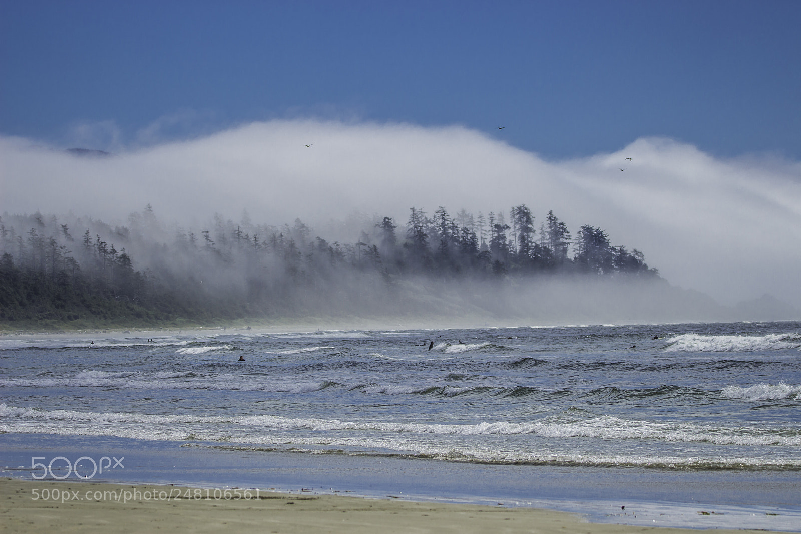 Canon EOS 700D (EOS Rebel T5i / EOS Kiss X7i) sample photo. Fog photography