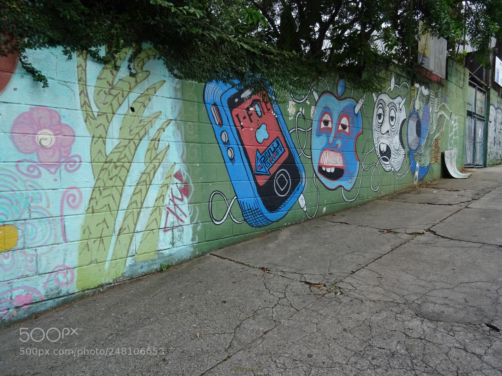 Sony DSC-HX60V sample photo. Grafite photography
