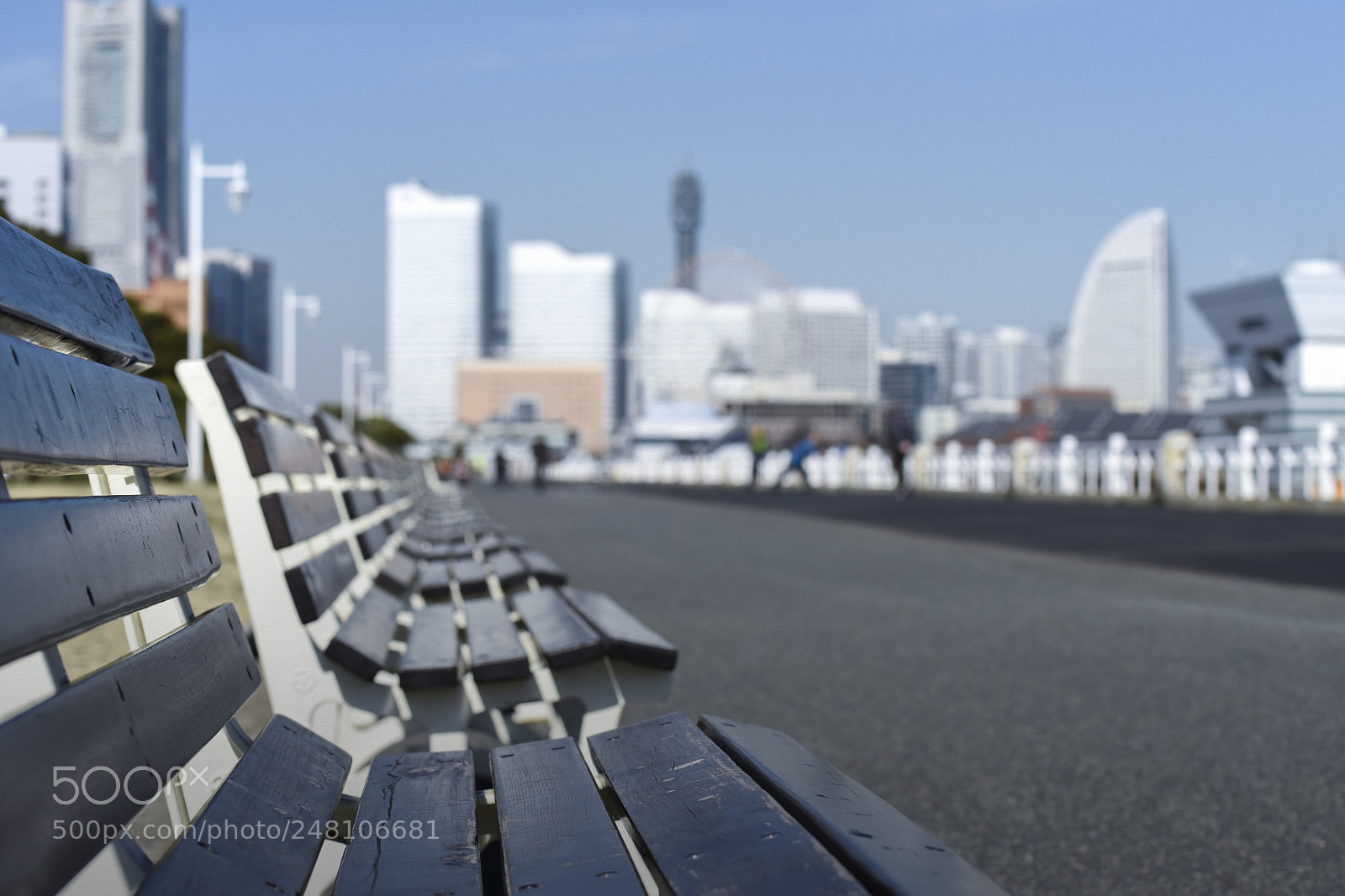 Nikon D810 sample photo. A yokohama bench photography