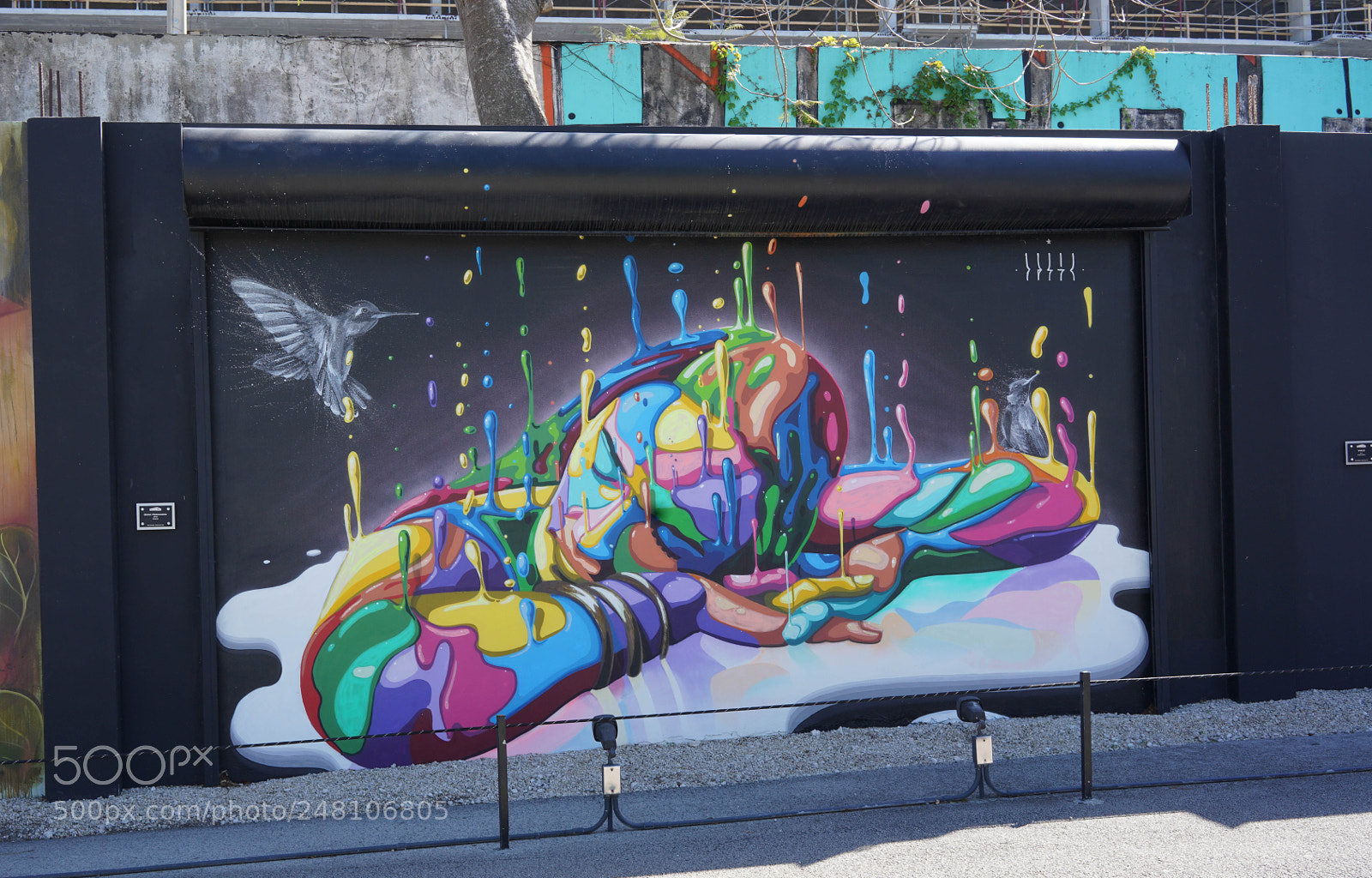 Sony a7R III sample photo. Wynwood walls and streets 2018 photography