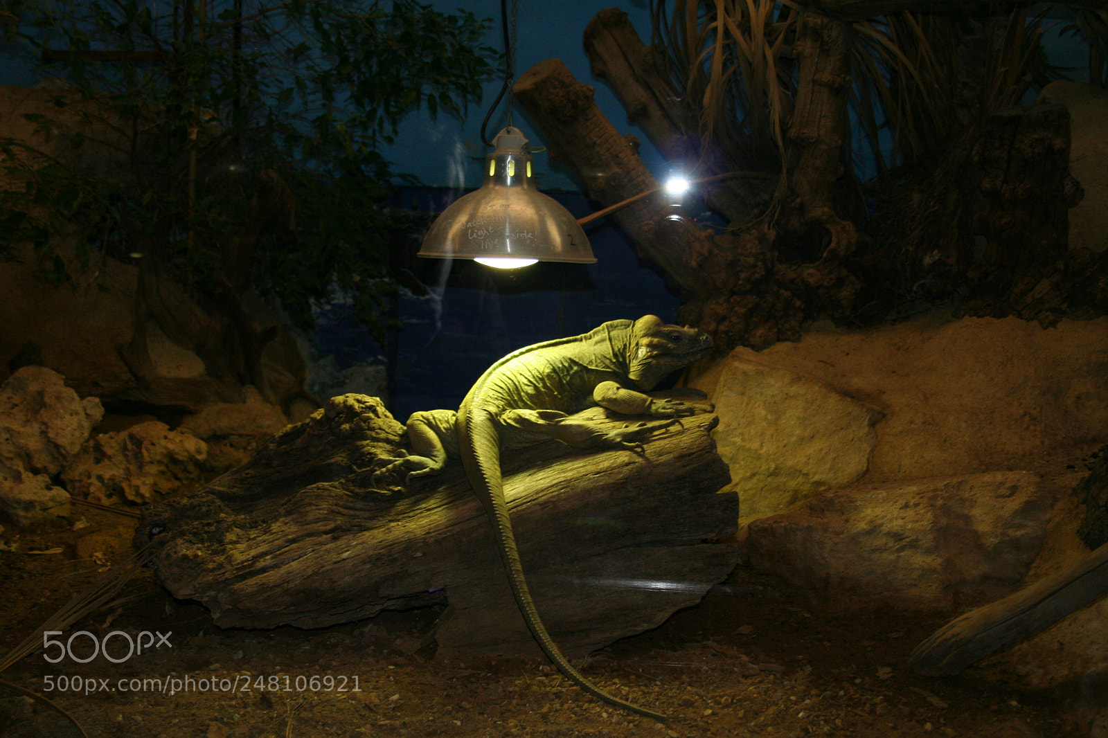 Canon EOS 350D (EOS Digital Rebel XT / EOS Kiss Digital N) sample photo. Img o photography