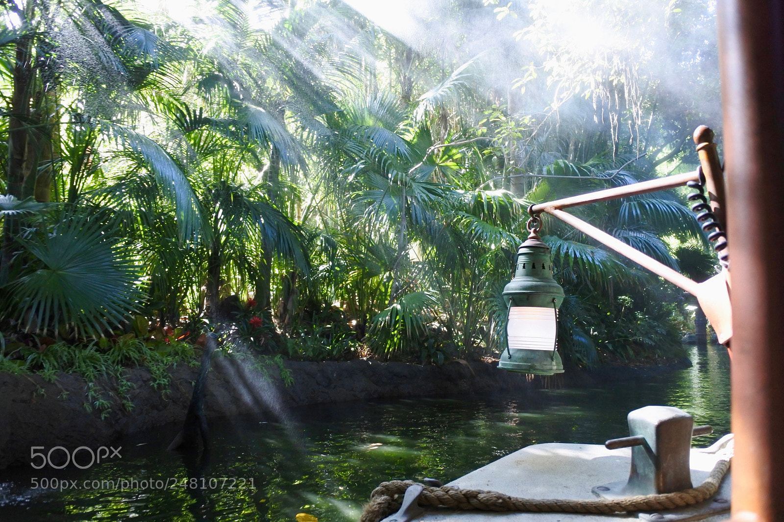Nikon 1 J5 sample photo. Sunlight photography