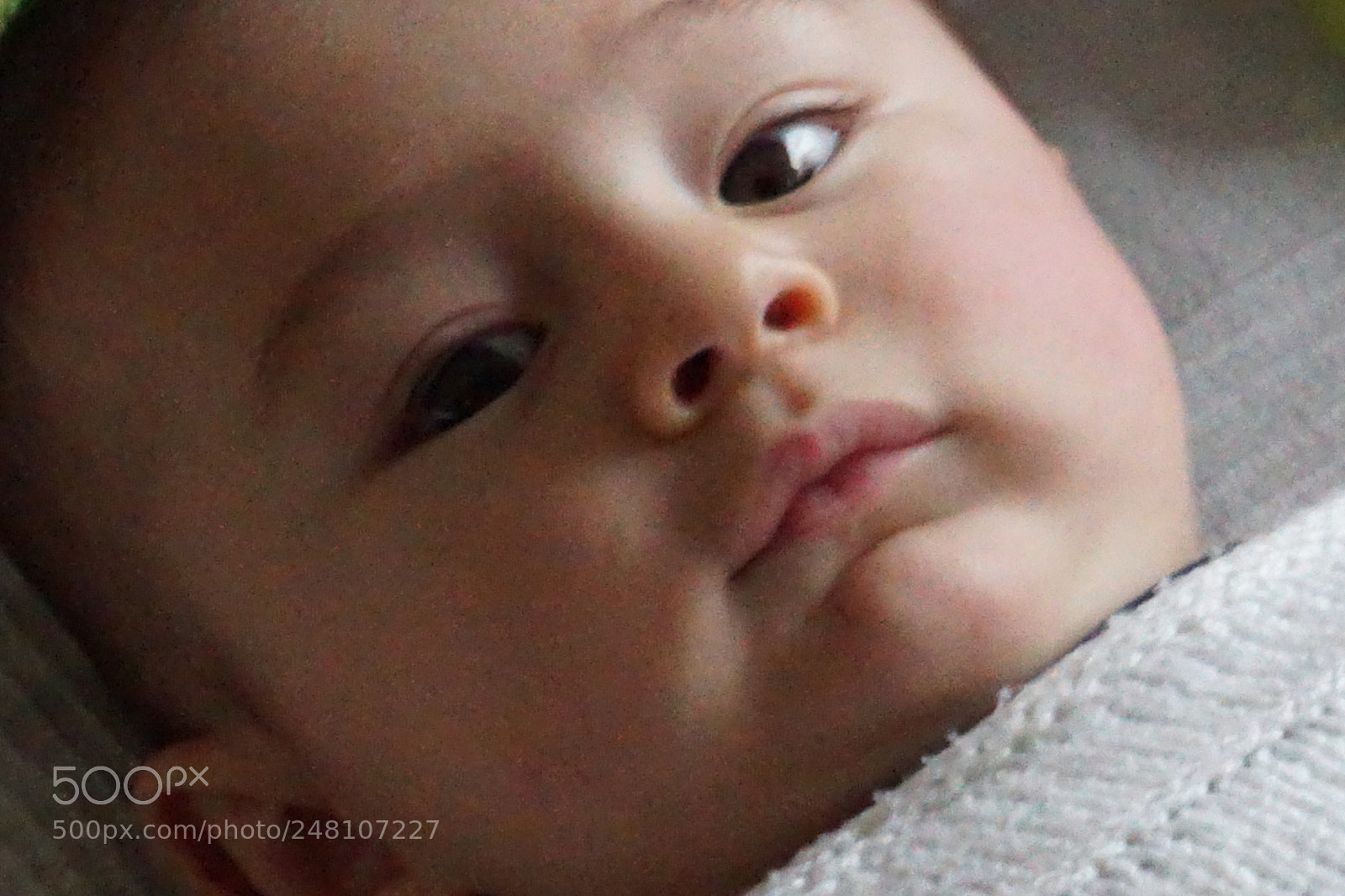 Sony a6300 sample photo. Untitled photography