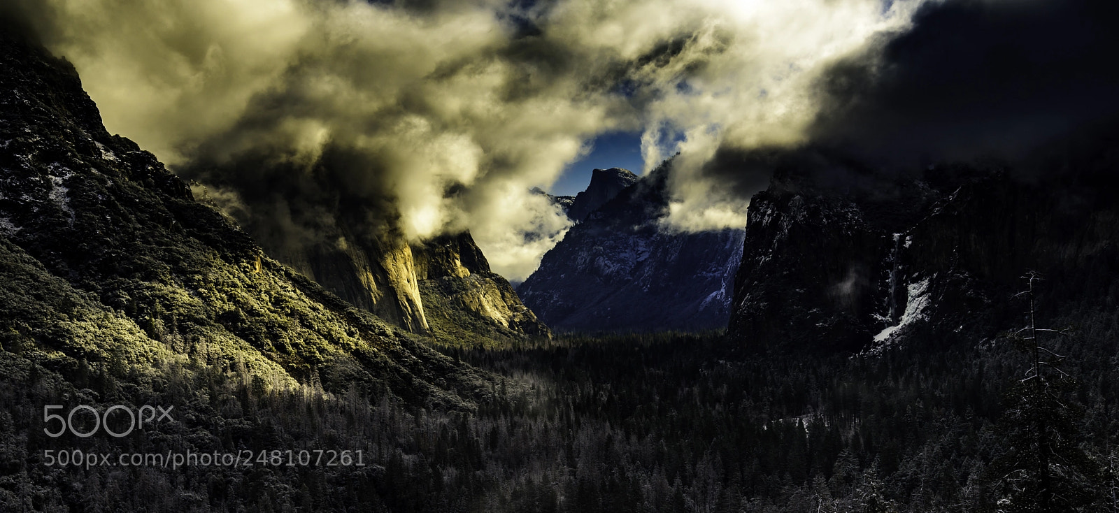 Nikon D810 sample photo. Tunnel view light photography