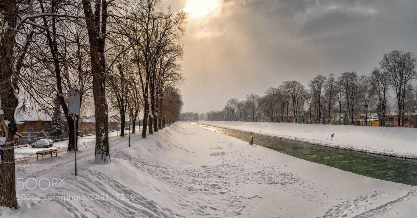 Nikon D7100 sample photo. Shivering light... photography