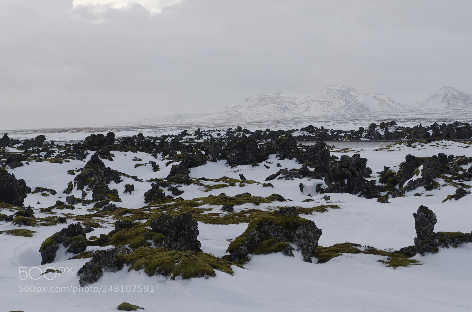 Nikon D5100 sample photo. Another planet photography