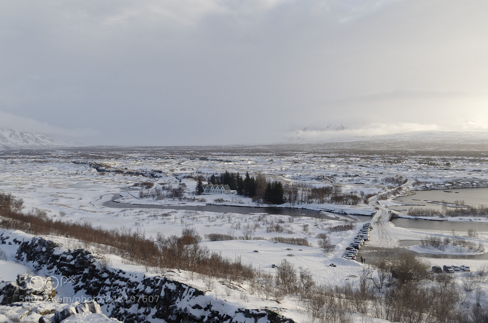 Nikon D5100 sample photo. Golden circle photography