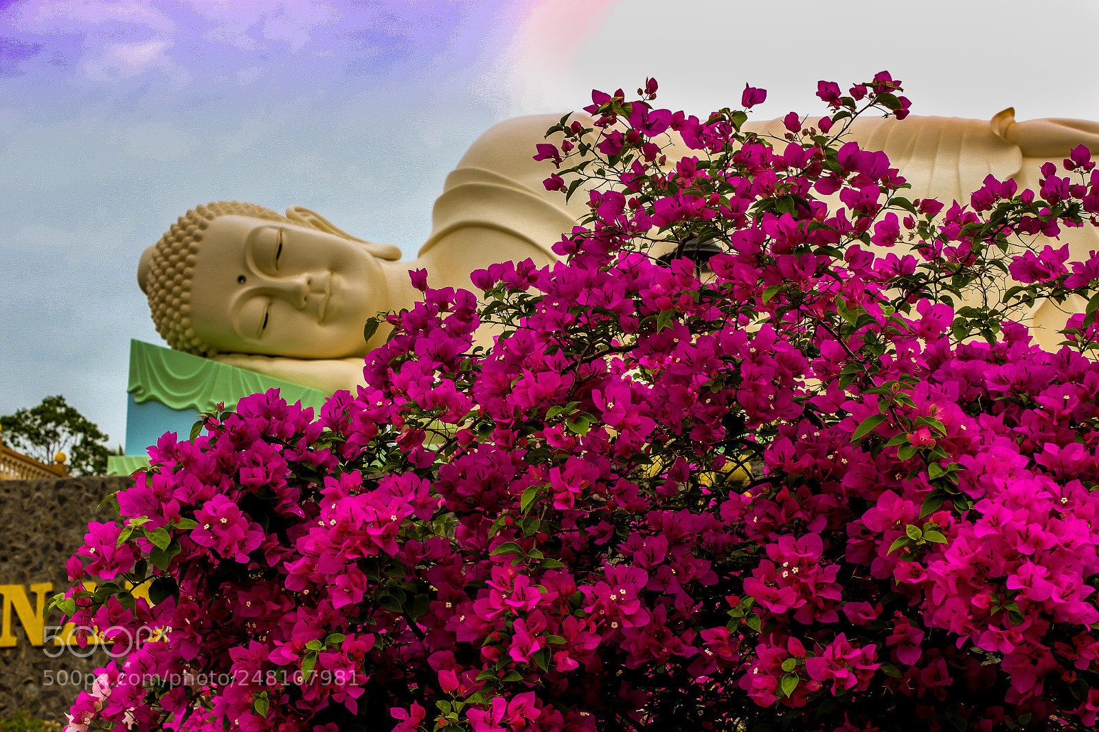 Canon EOS 500D (EOS Rebel T1i / EOS Kiss X3) sample photo. Buda gigante tumbado photography