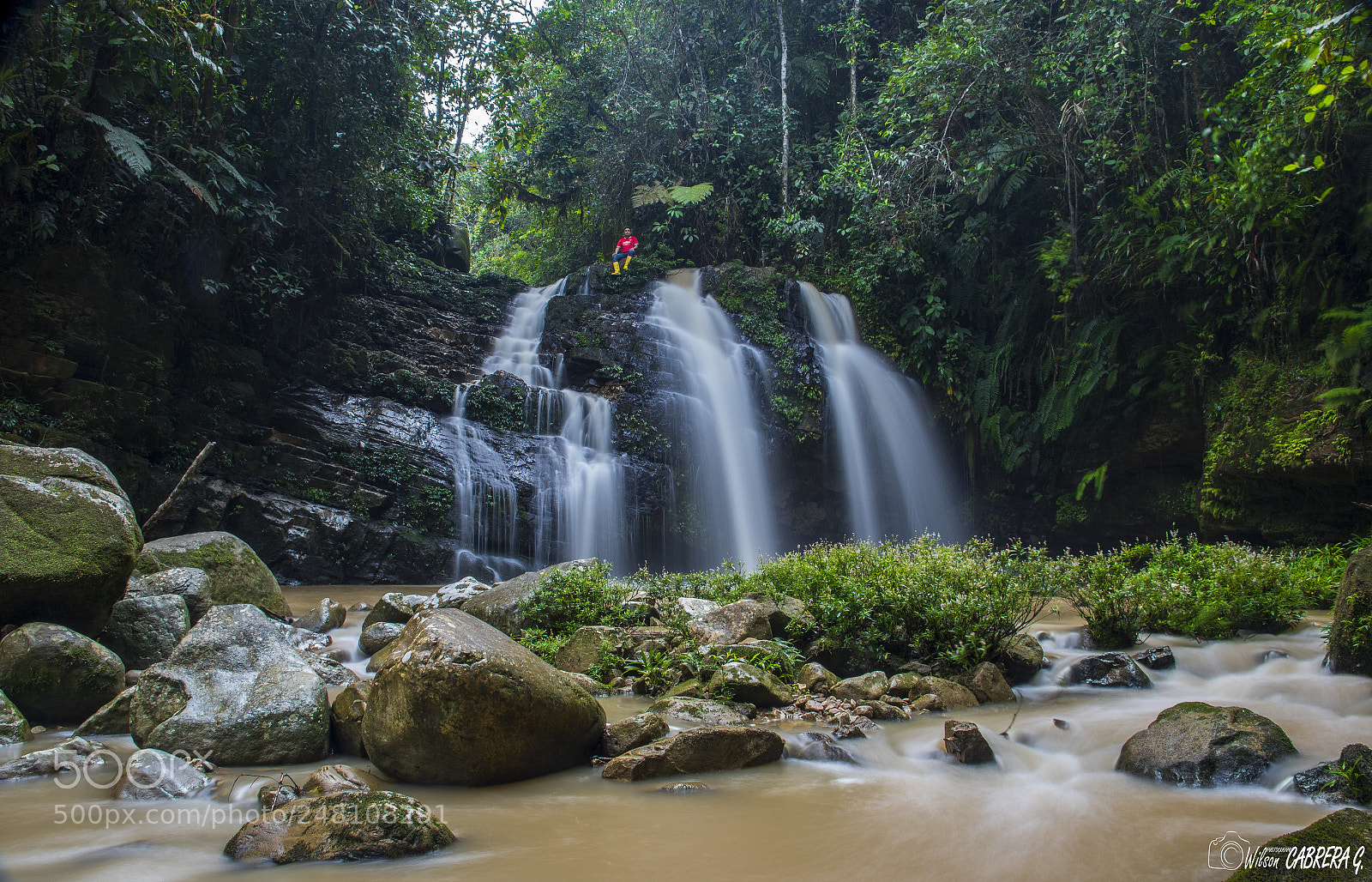 Canon EOS 7D Mark II sample photo. Naturaleza al 100% photography