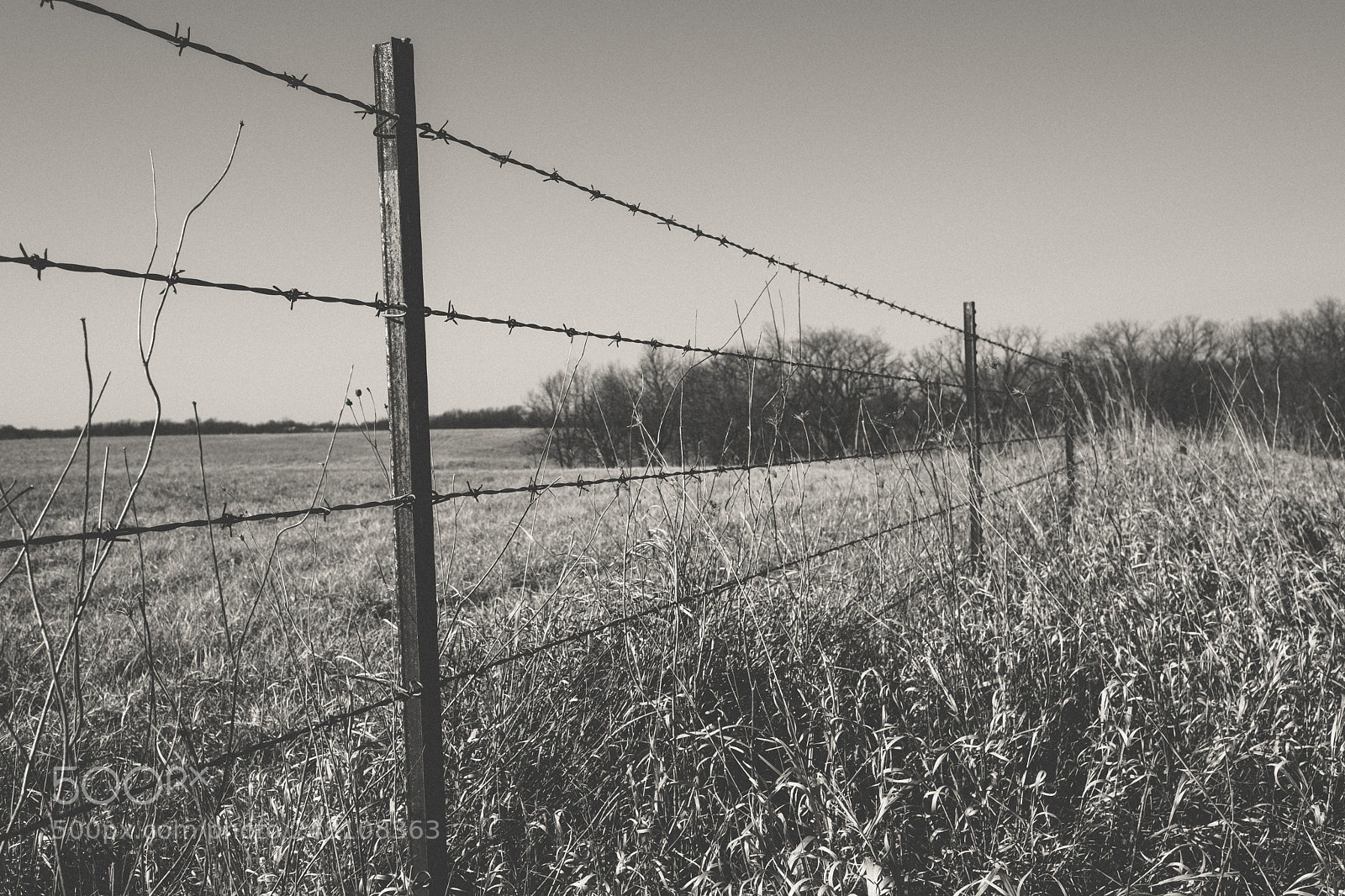 Fujifilm X-Pro2 sample photo. On the fence photography