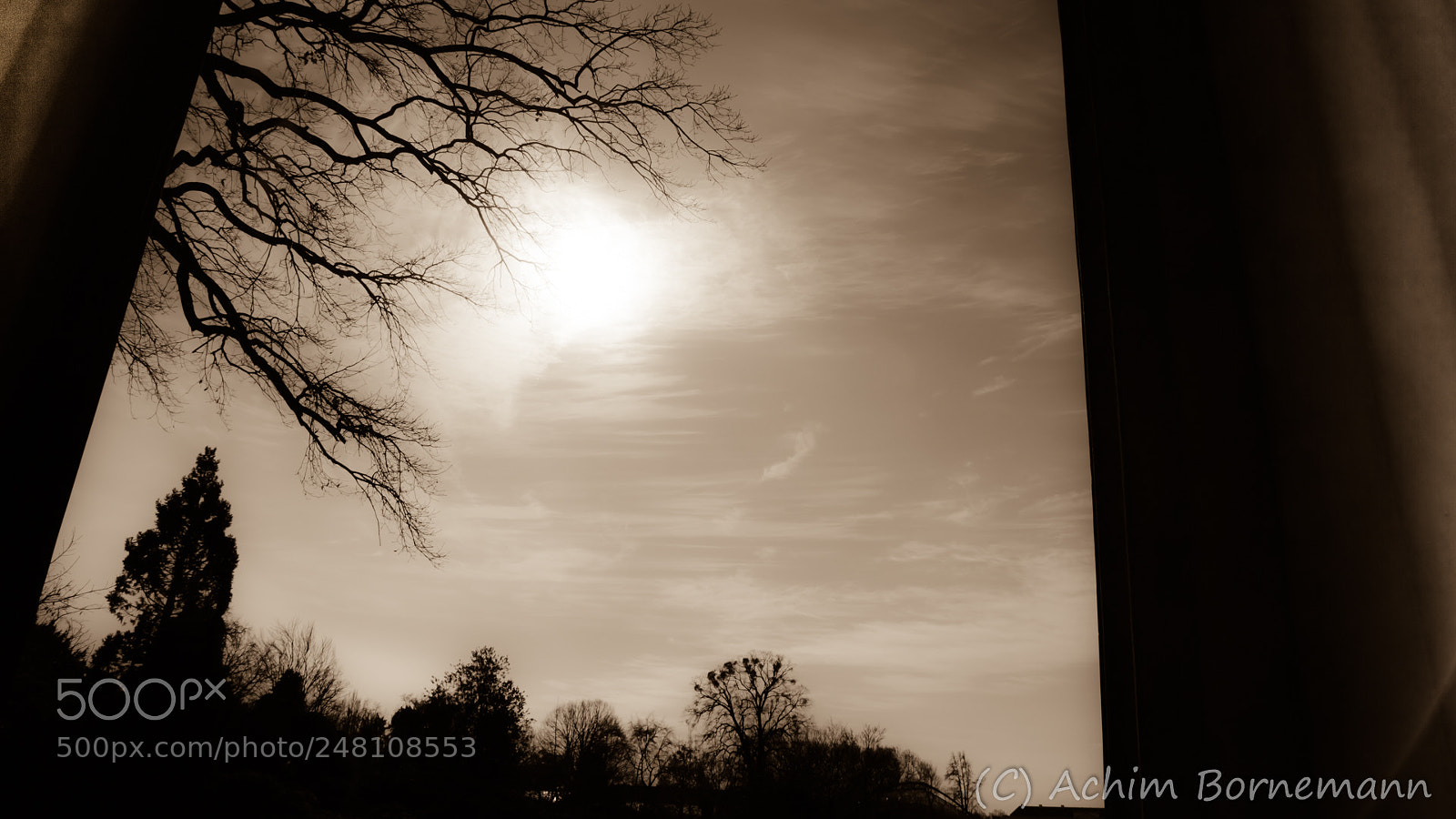 Sony SLT-A68 sample photo. Framed photography