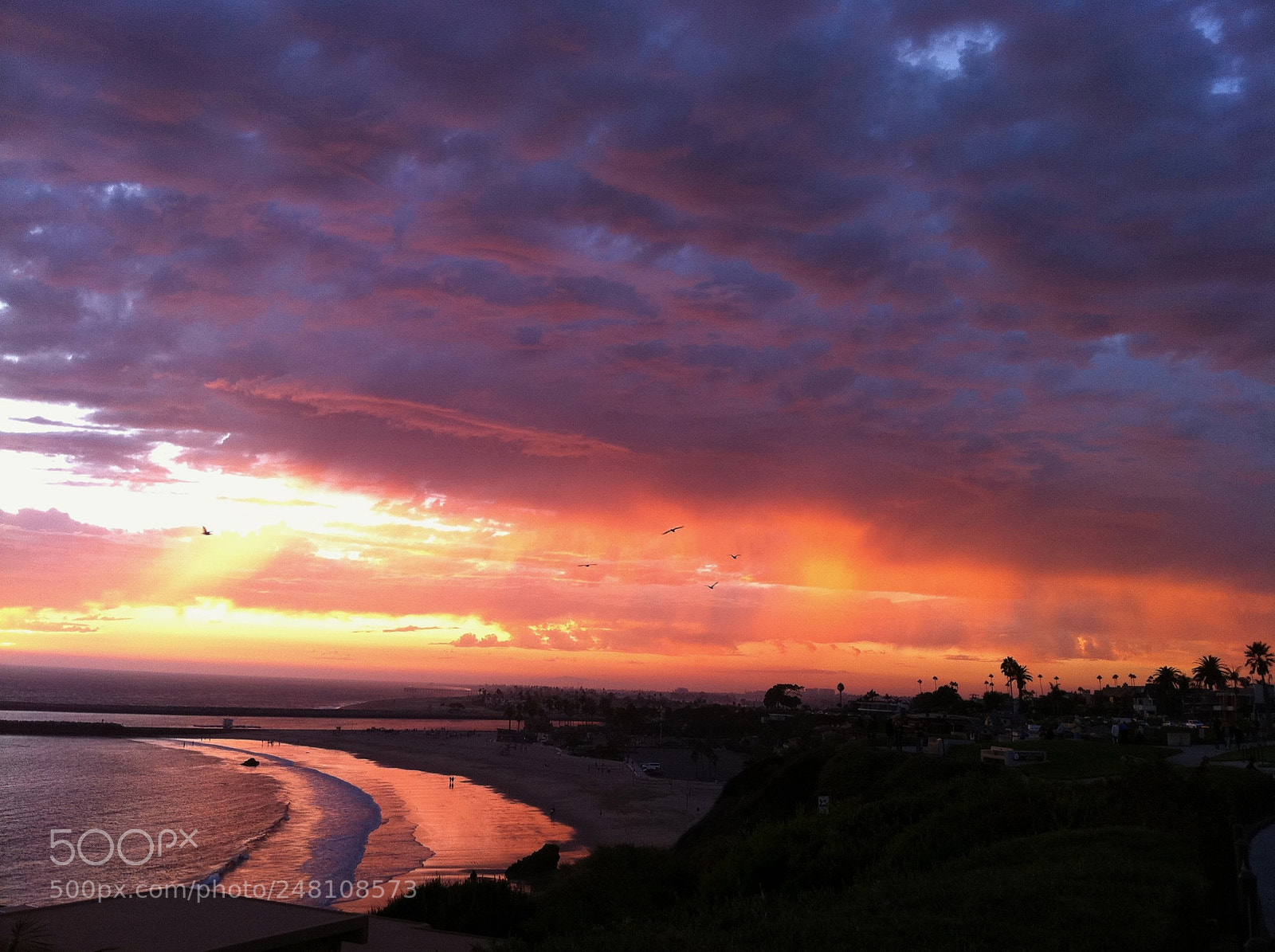 Apple iPhone 4 sample photo. Pretty sunset with birds photography
