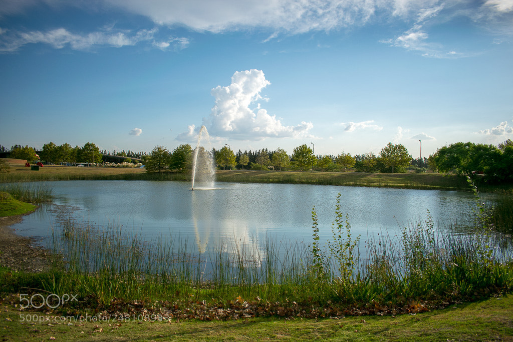 Nikon D5300 sample photo. Fake lake. photography