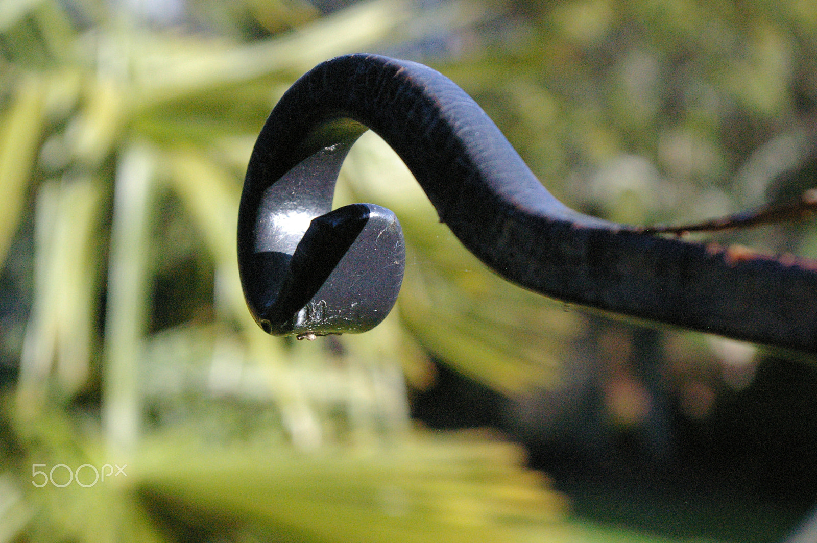 Pentax smc DA 18-55mm F3.5-5.6 AL sample photo. Curve photography