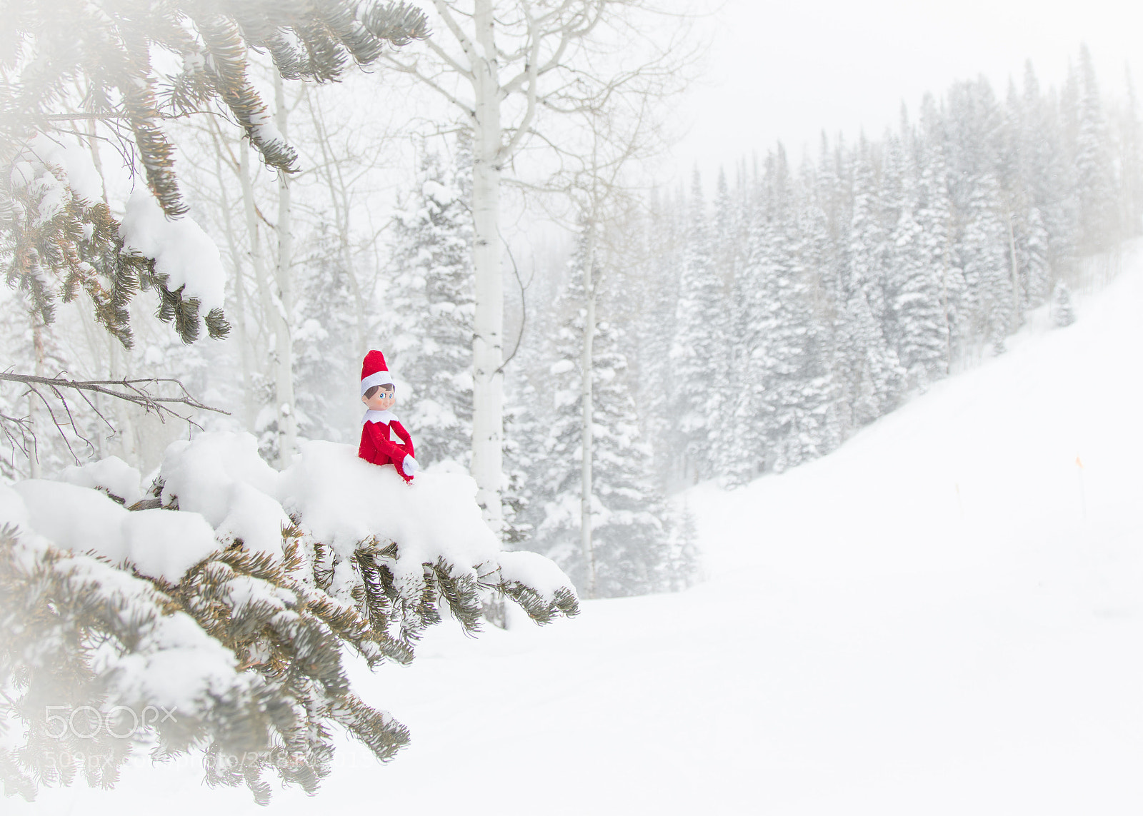 Canon EOS 5DS sample photo. Elfie in the mountains photography