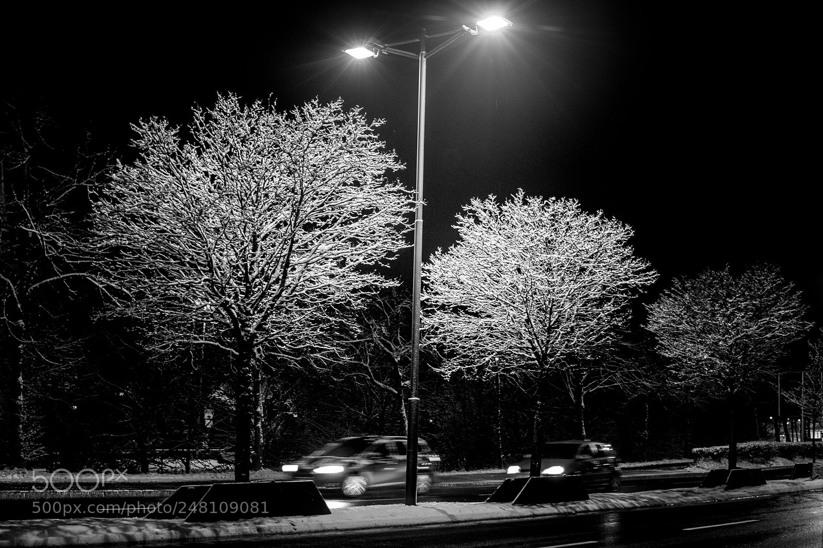 Canon EOS 7D Mark II sample photo. Old snow photography