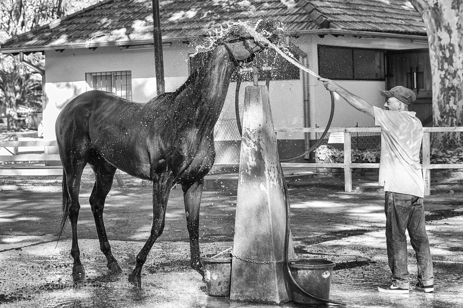 Canon EOS 7D sample photo. Team photography