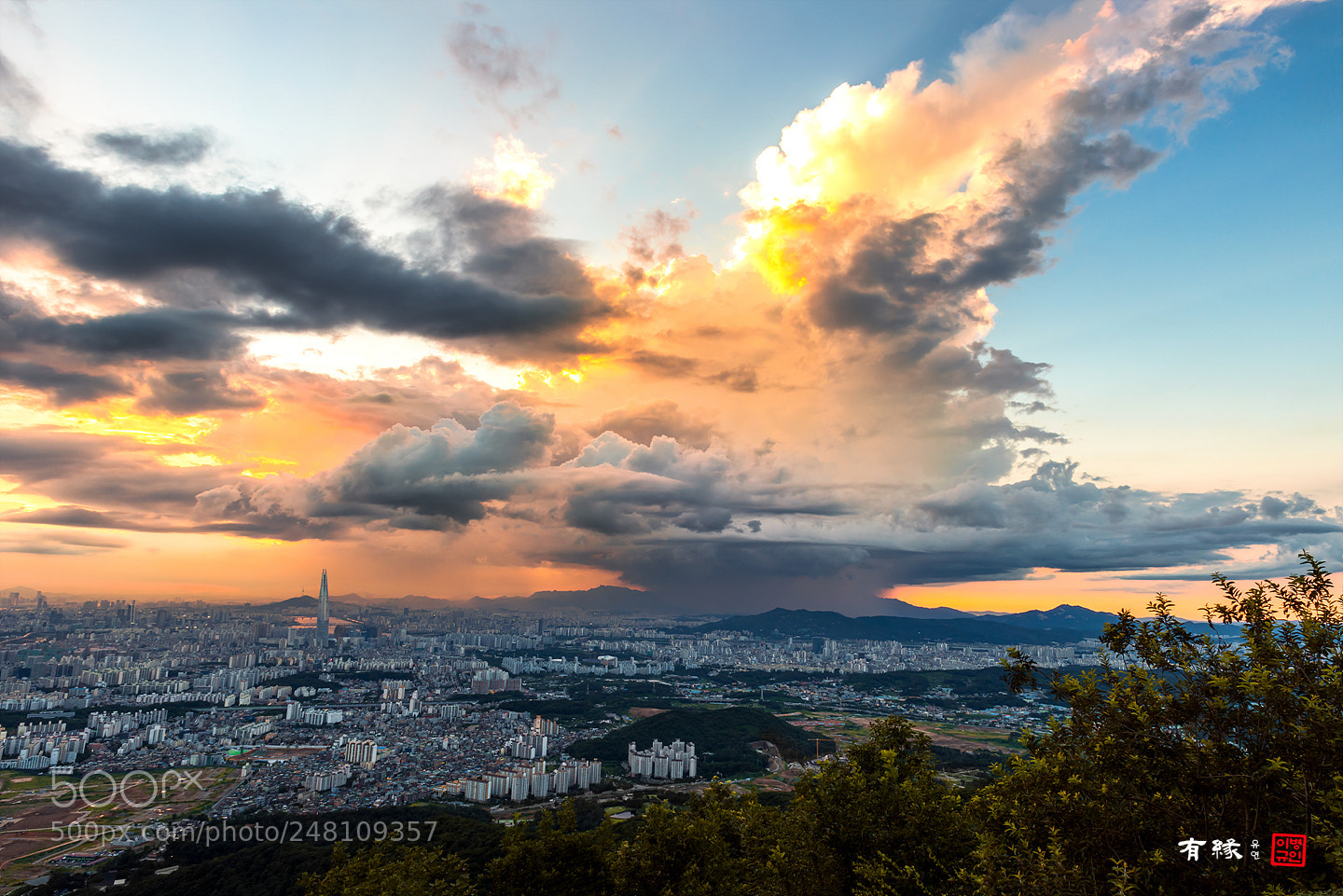 Nikon D810 sample photo. . photography