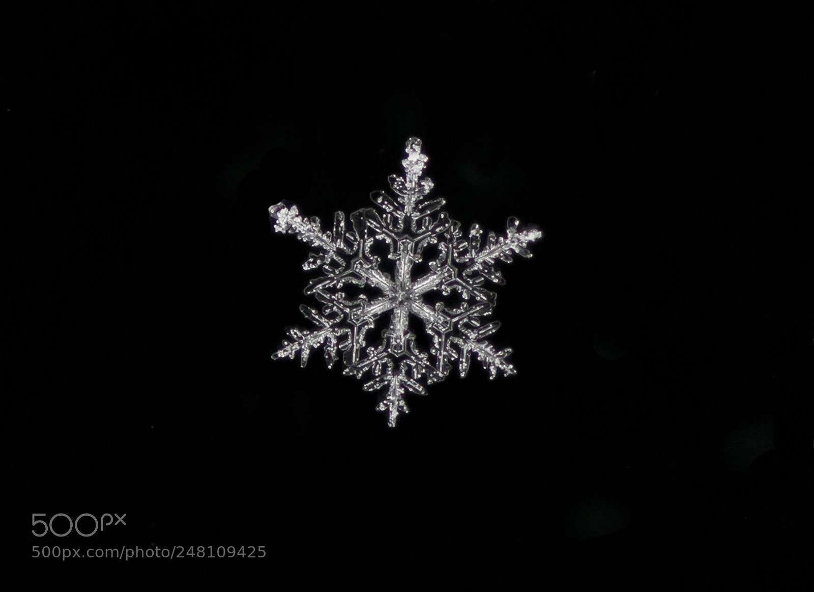 Canon EOS 7D sample photo. Beauty of winter photography