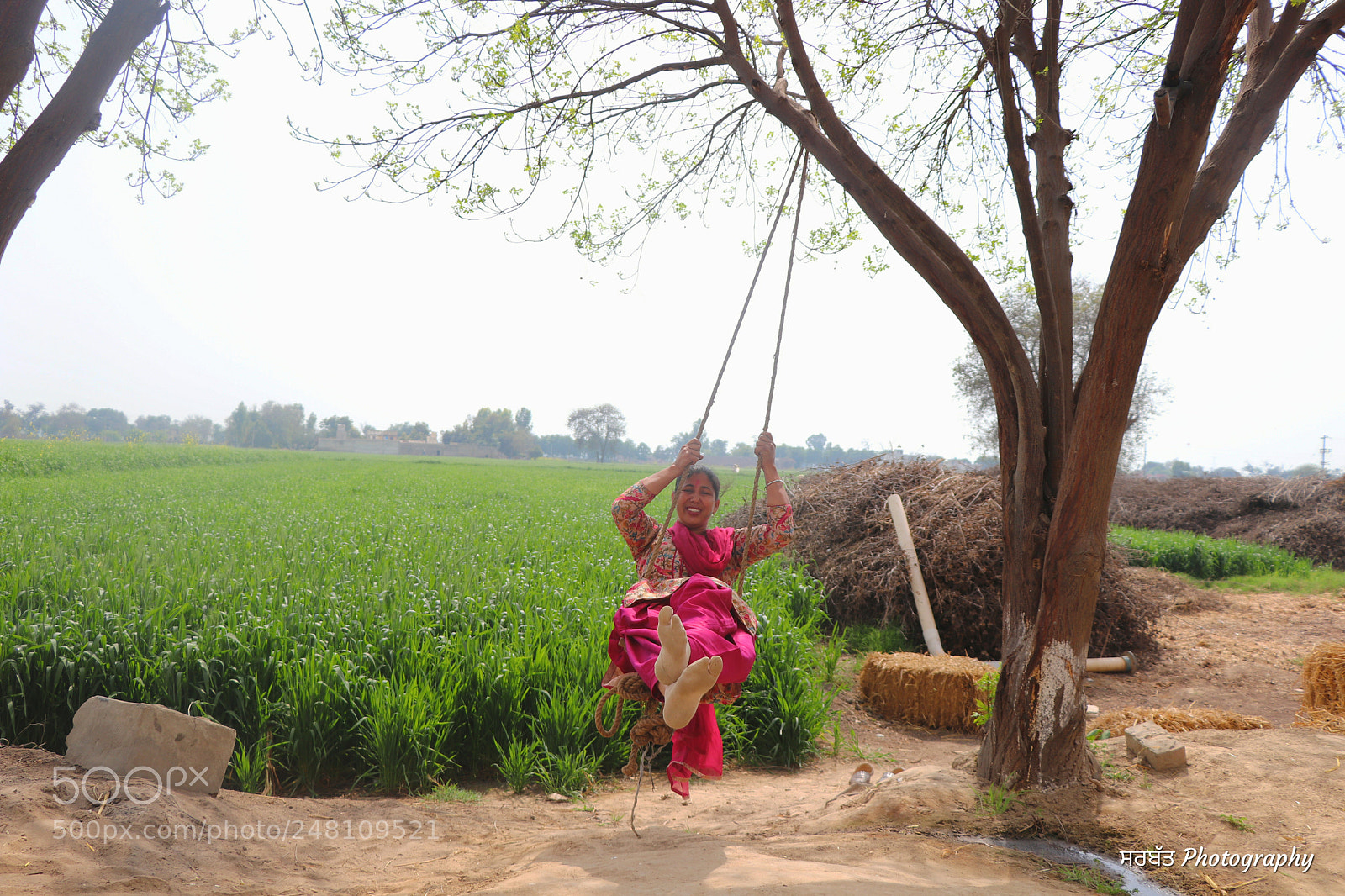 Canon EOS 77D (EOS 9000D / EOS 770D) sample photo. Swinging photography