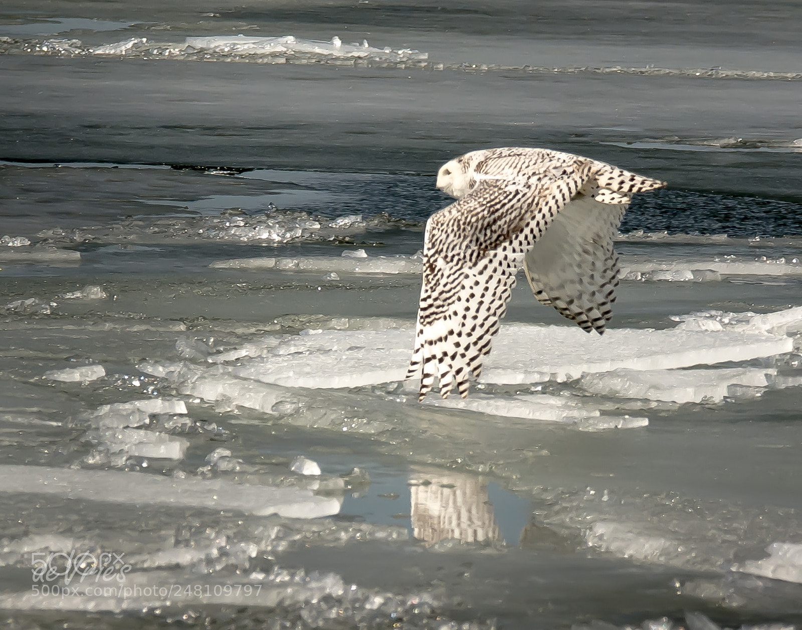 Nikon D7100 sample photo. Off to the races . . . photography