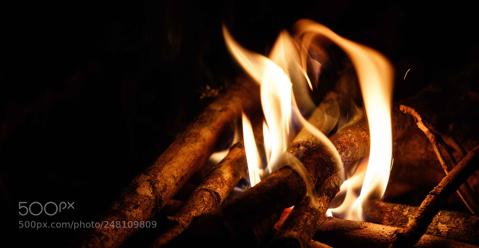 Canon EOS 7D Mark II sample photo. Lit photography