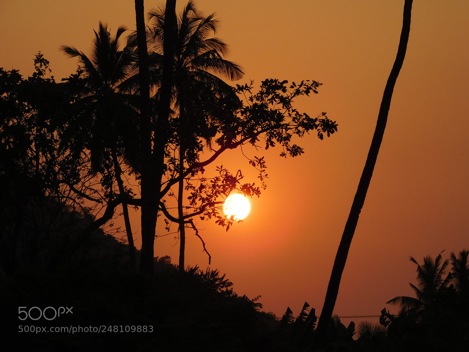 Nikon Coolpix L840 sample photo. Orange sky photography
