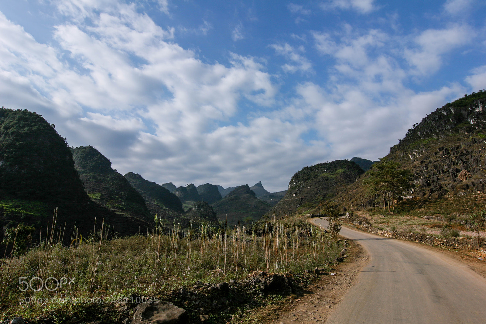 Canon EOS 20D sample photo. Untitled photography