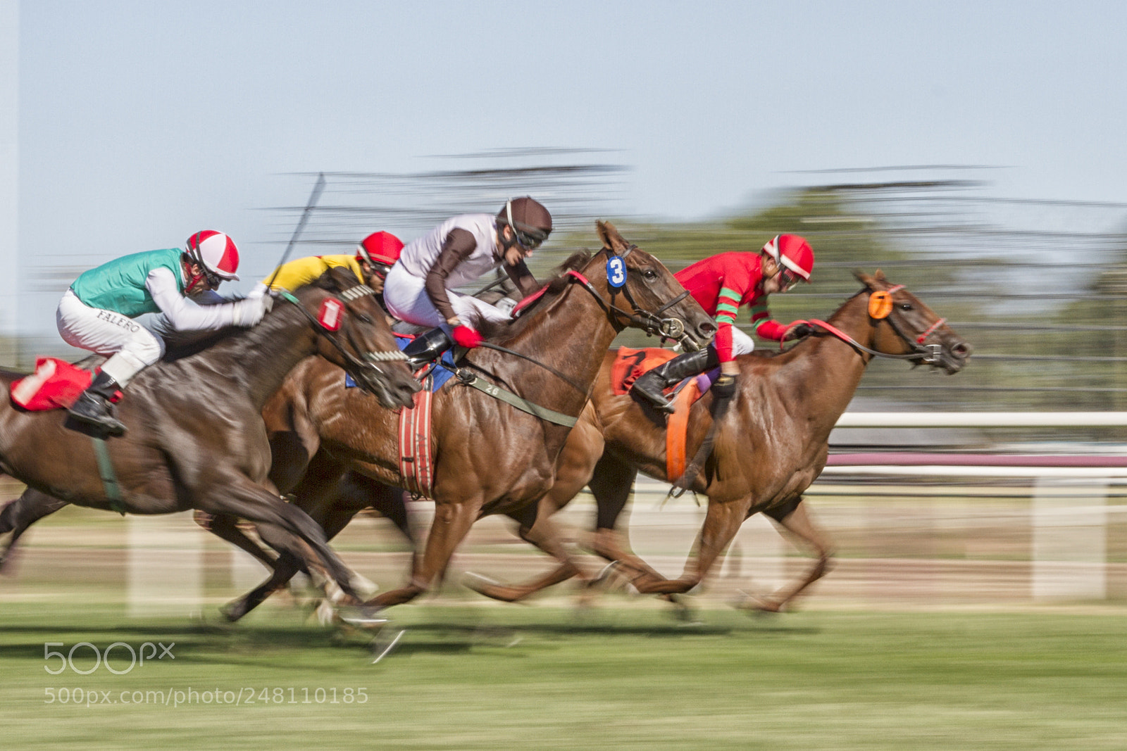 Canon EOS 7D sample photo. Horse squad photography