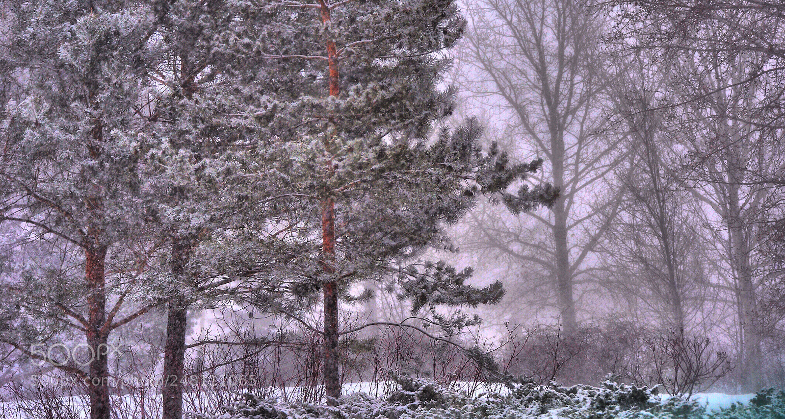 Nikon D90 sample photo. Storm photography