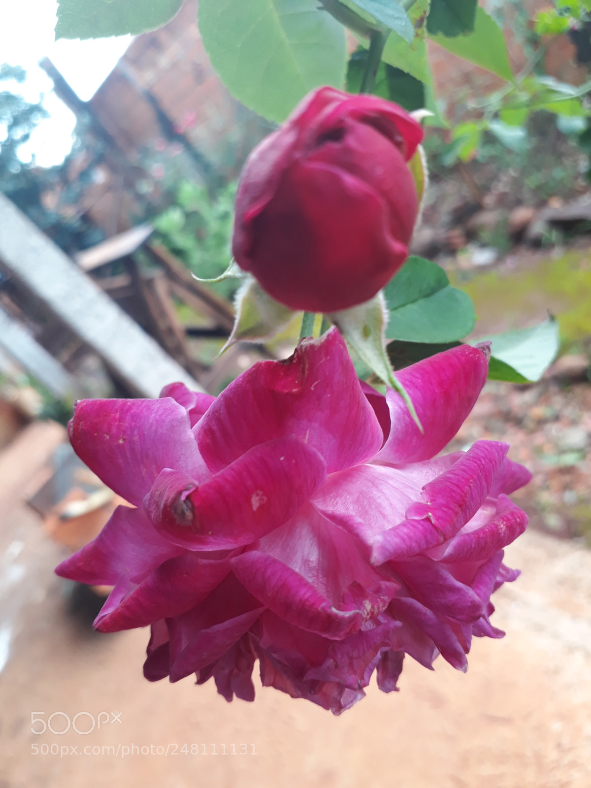 Samsung Galaxy J7 Prime sample photo. Untitled photography