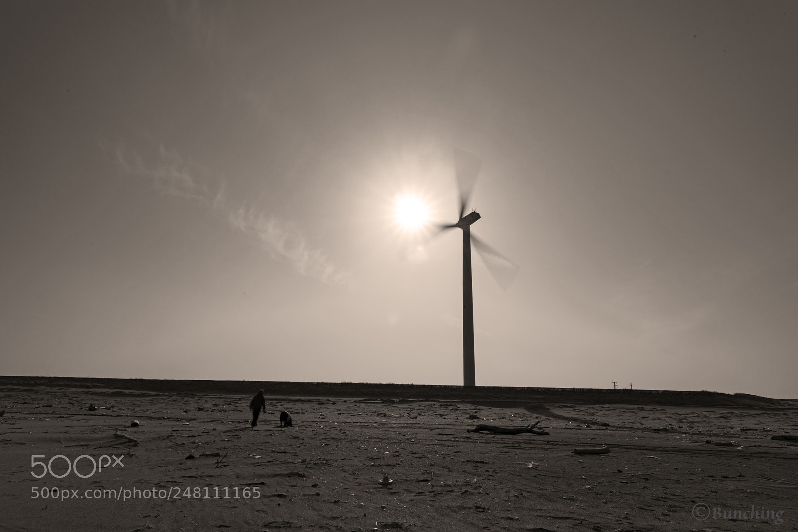Nikon D810 sample photo. I took an electric photography