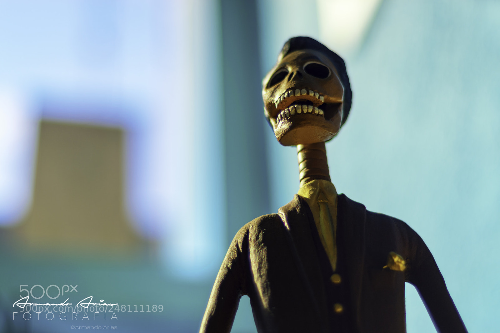 Nikon D5300 sample photo. The candidate photography