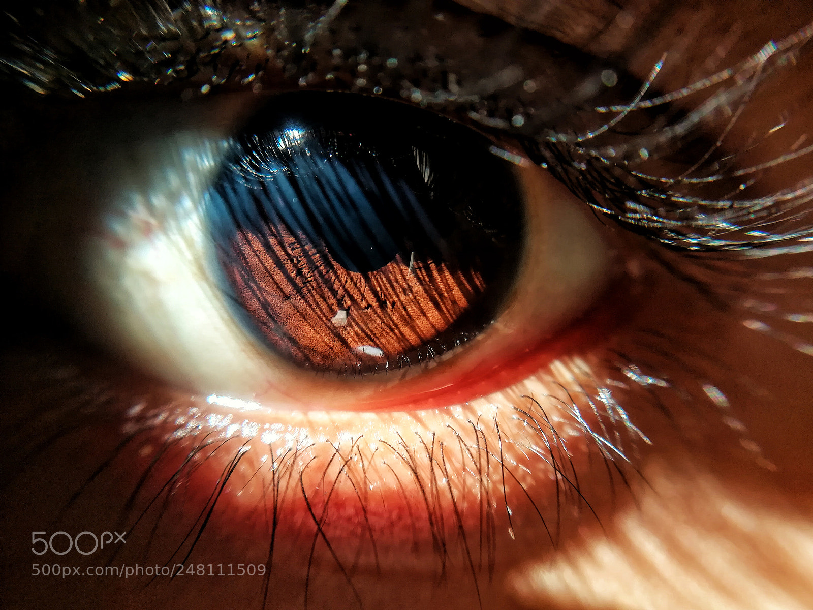 HUAWEI honor 6x sample photo. Eyeball photography