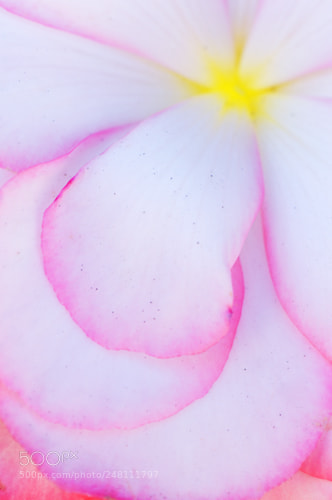 Nikon D90 sample photo. 2017-02-08.jpg photography