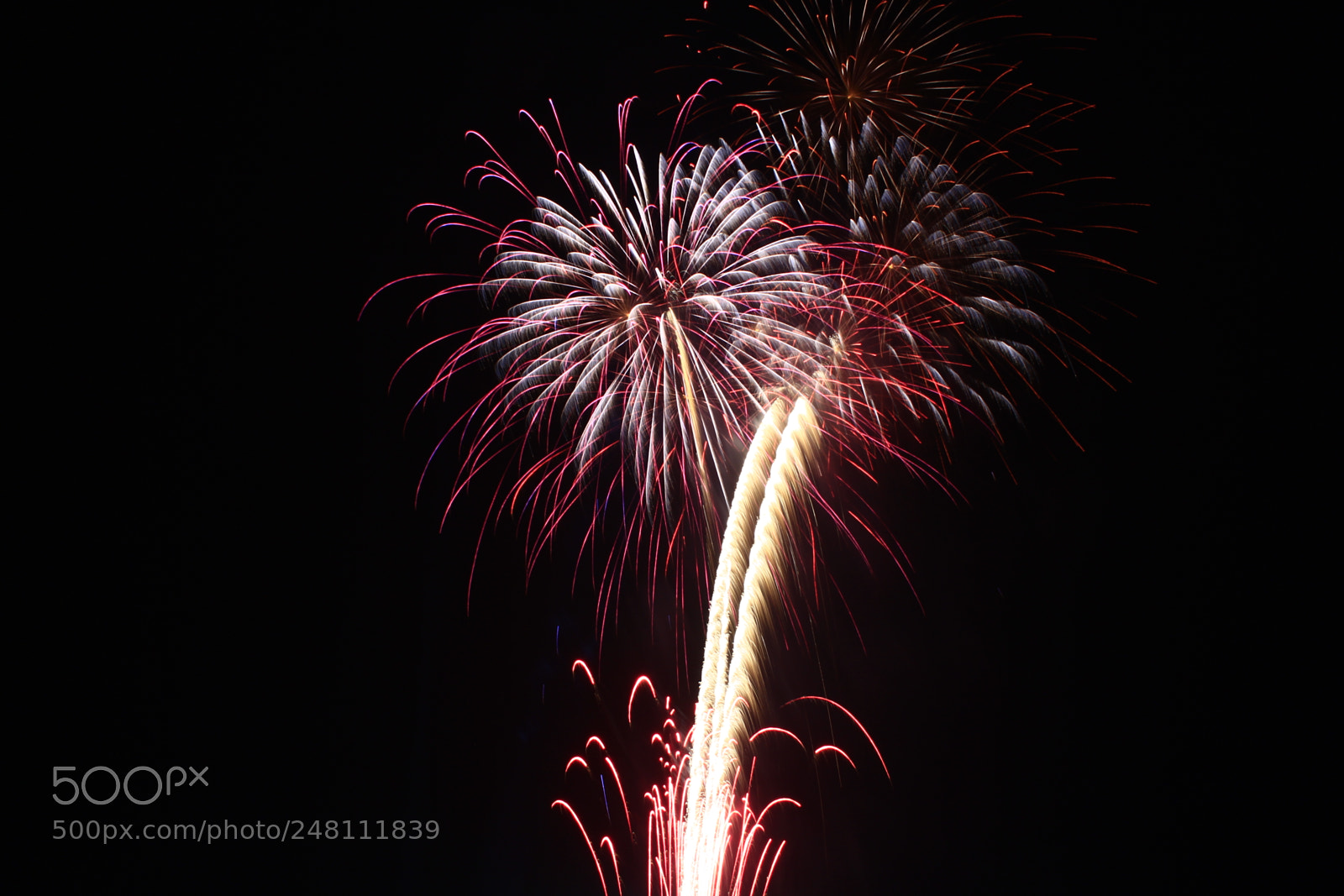 Canon EOS 700D (EOS Rebel T5i / EOS Kiss X7i) sample photo. Mg photography