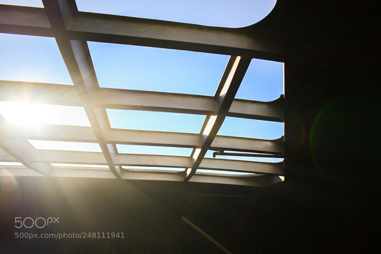 Nikon D5300 sample photo. Untitled photography