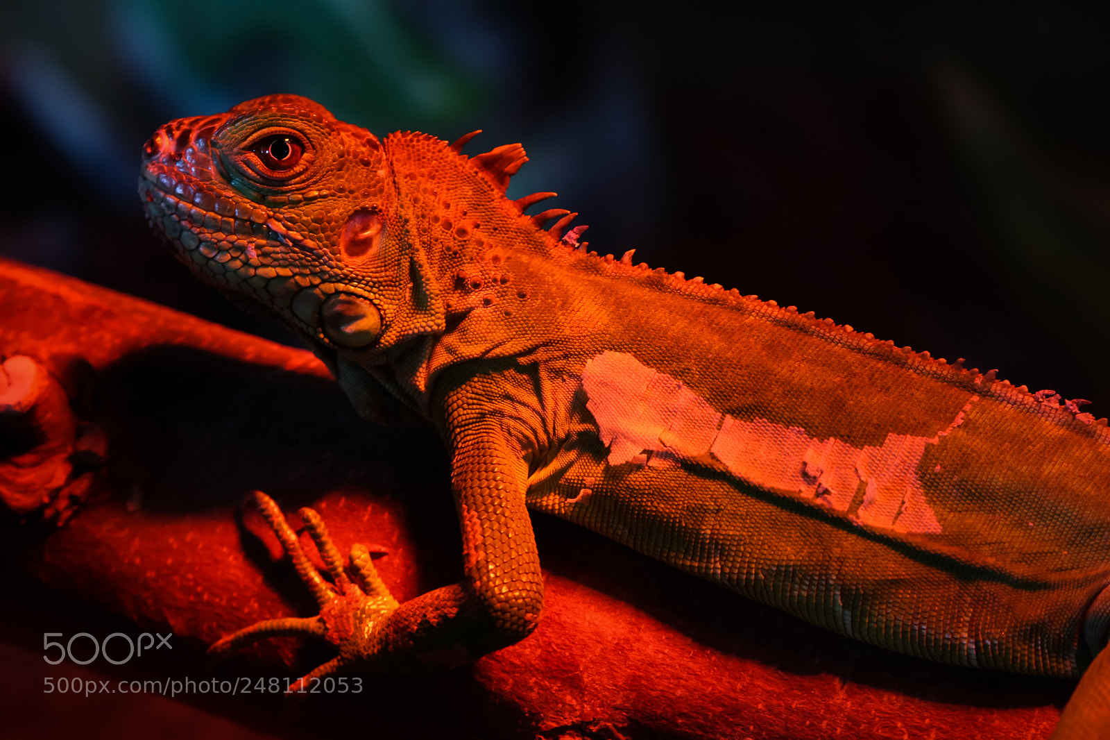 Canon EOS 80D sample photo. Untitled photography