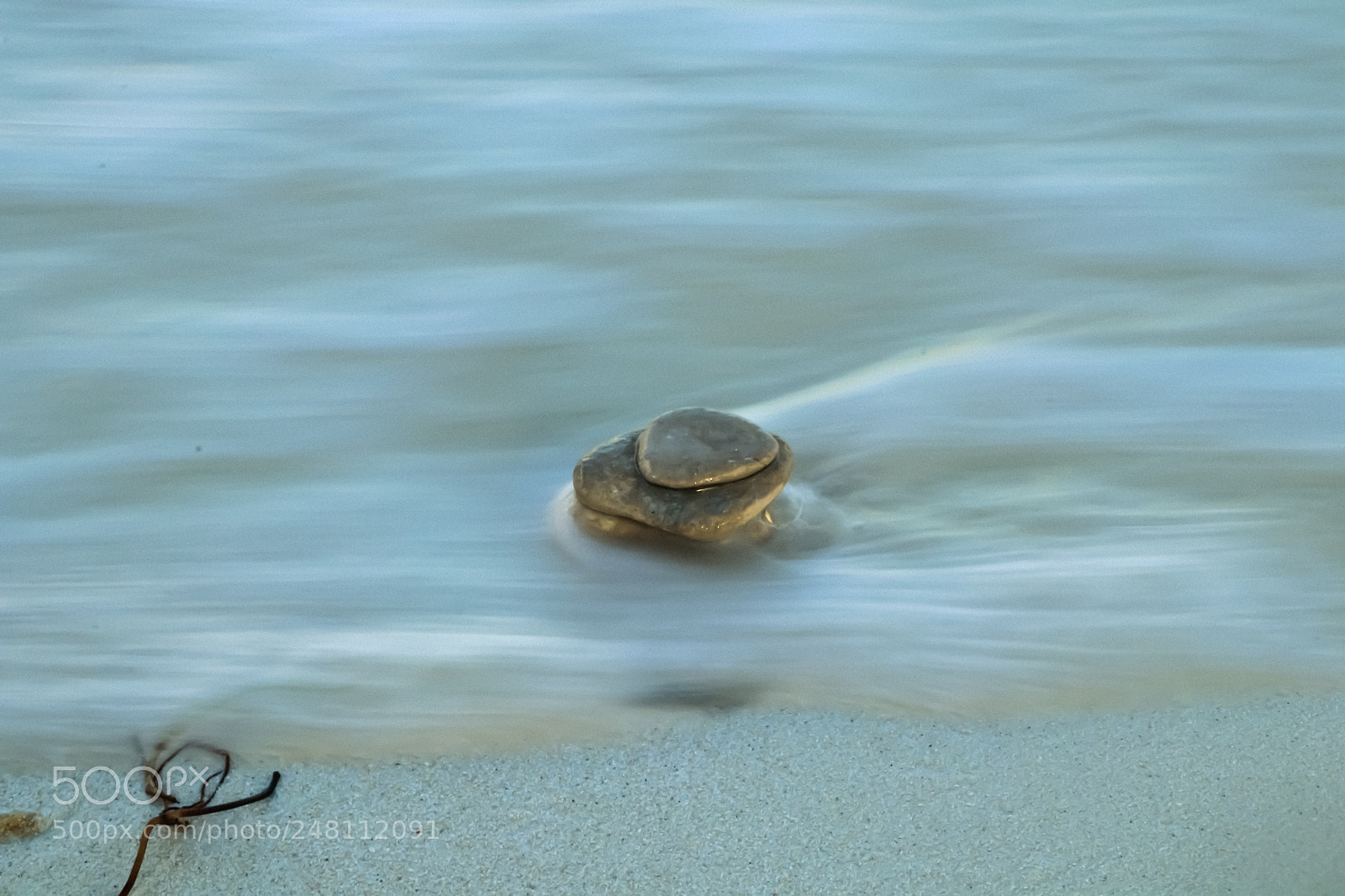 Canon EOS 80D sample photo. Untitled photography