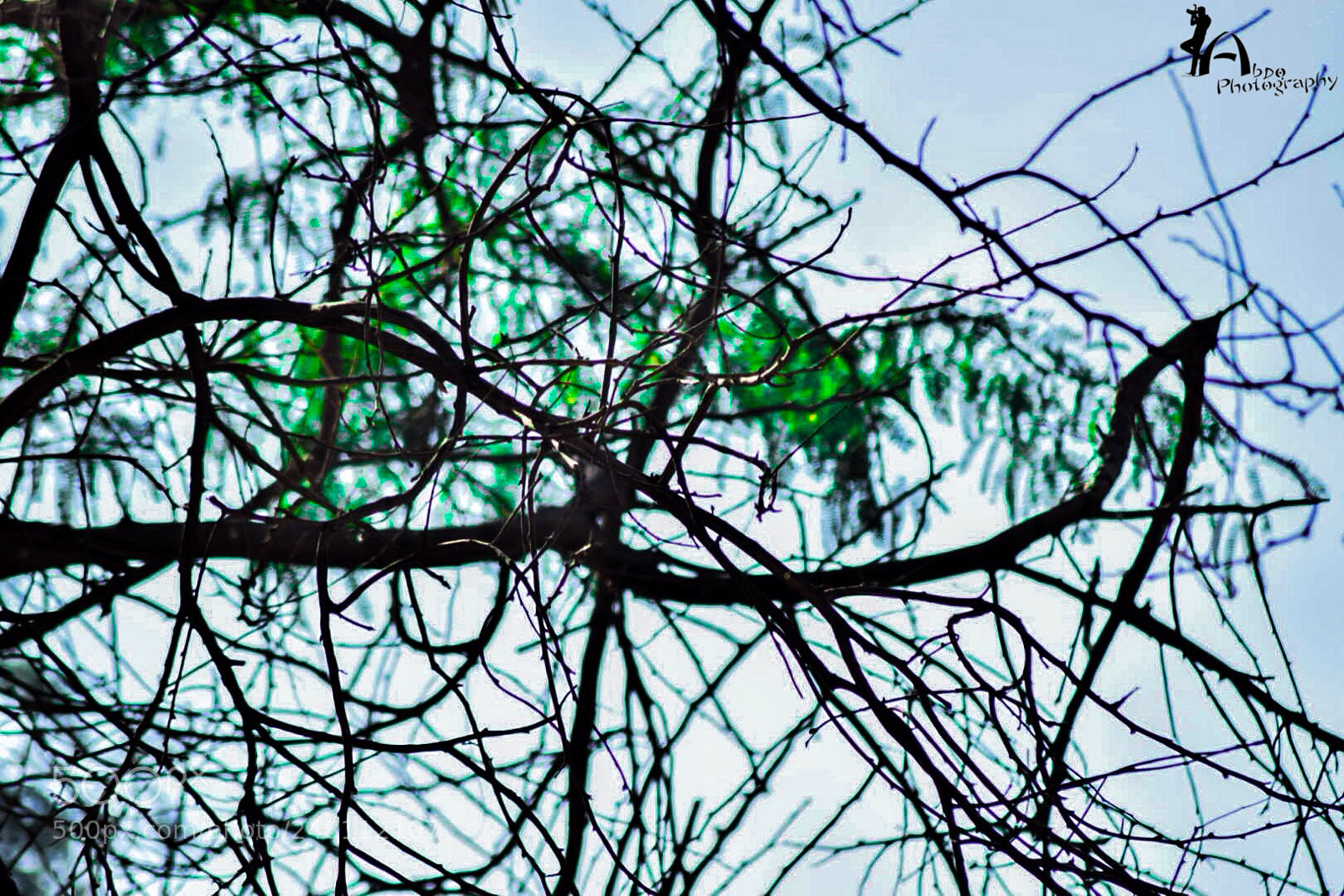 Nikon D5300 sample photo. Untitled photography
