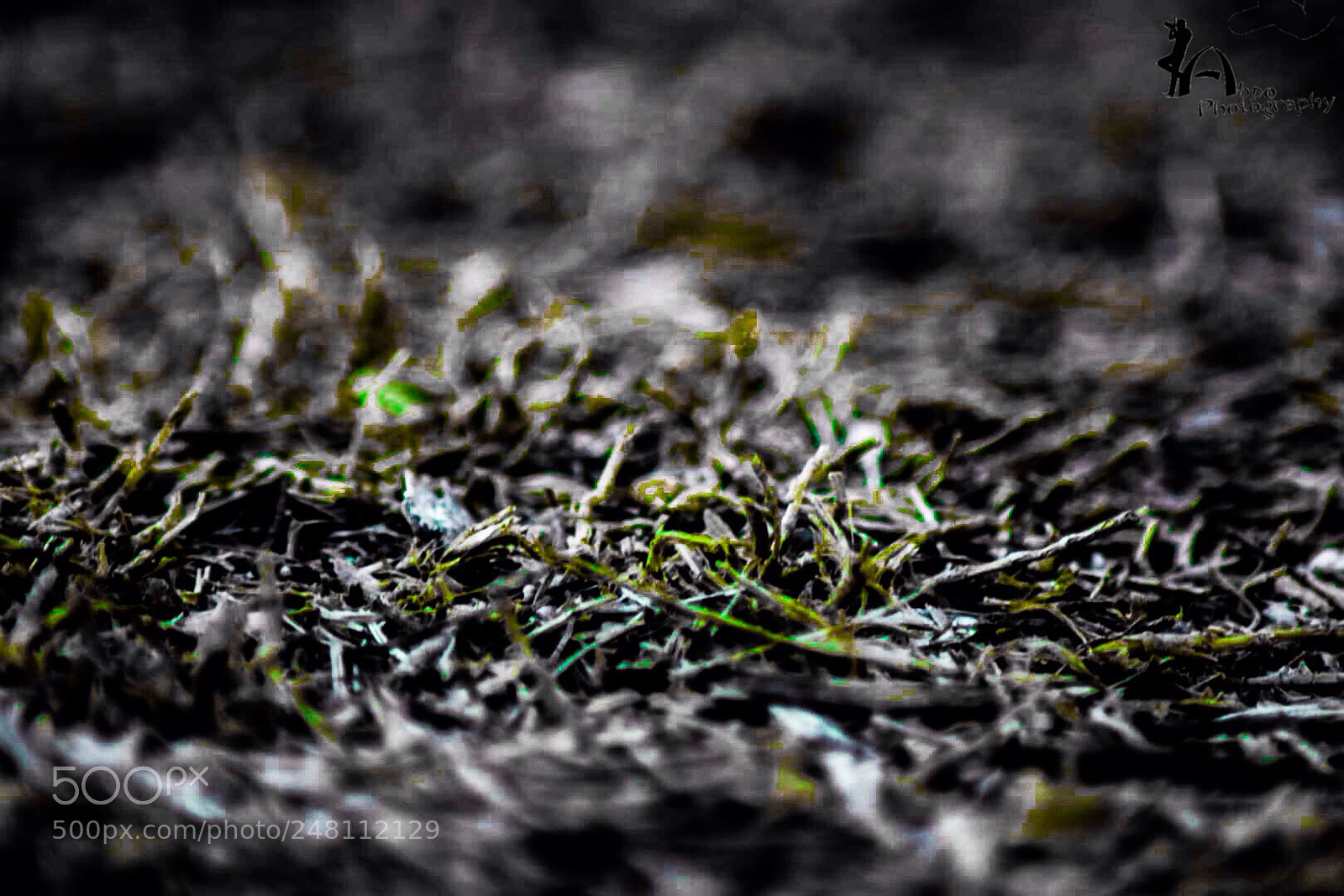 Nikon D5300 sample photo. Untitled photography