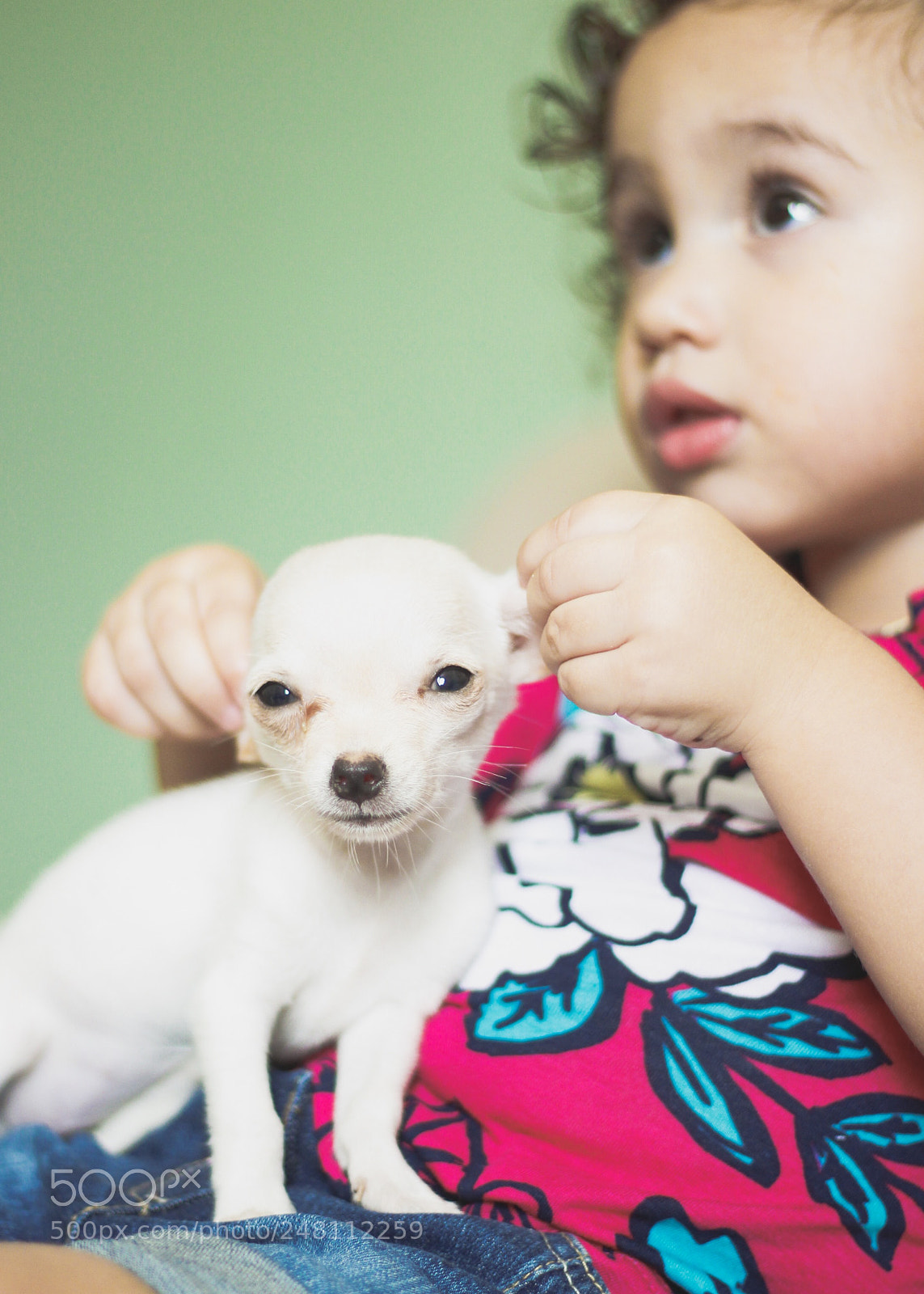 Canon EOS 600D (Rebel EOS T3i / EOS Kiss X5) sample photo. Love pets photography