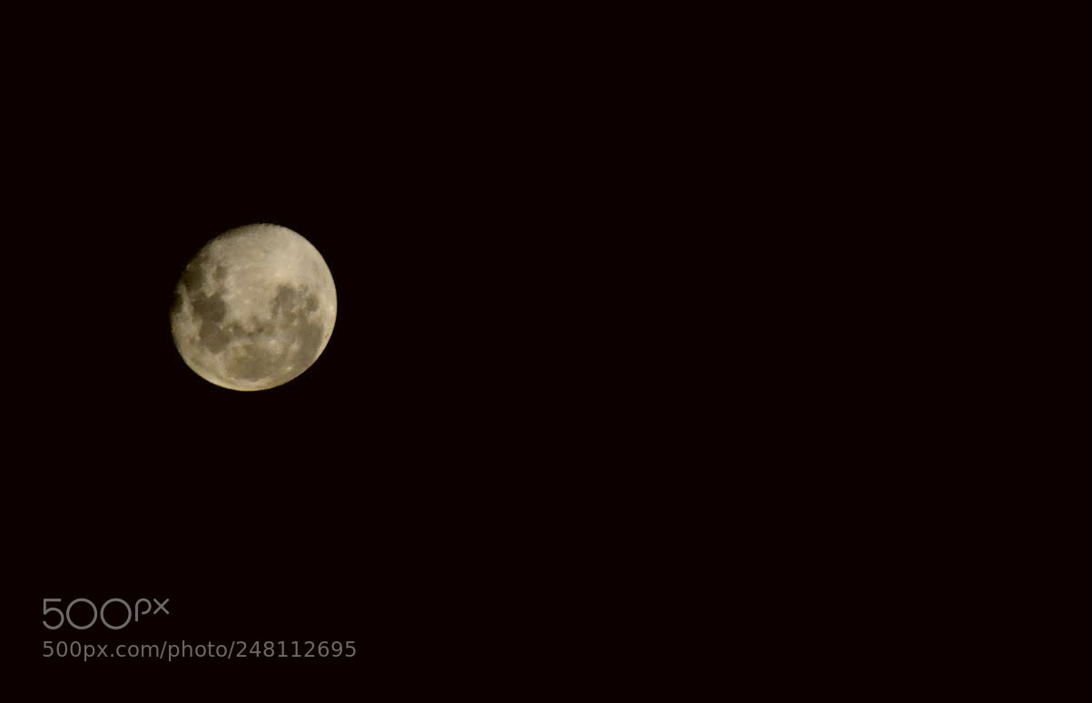 Nikon D7200 sample photo. The moon photography
