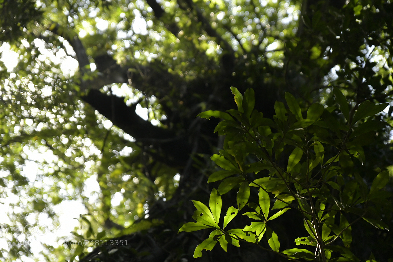 Nikon D850 sample photo. Untitled photography