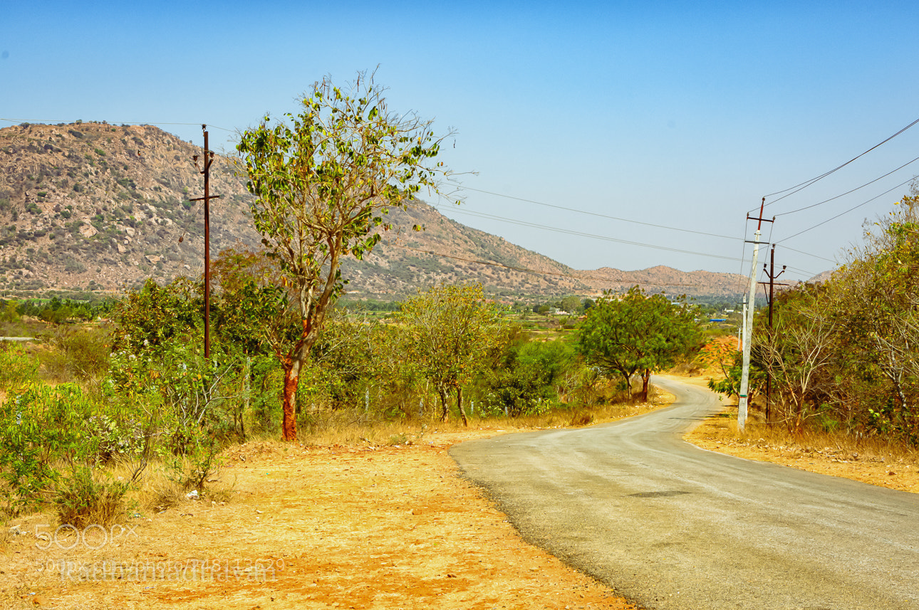 Nikon D7100 sample photo. Meandering path photography
