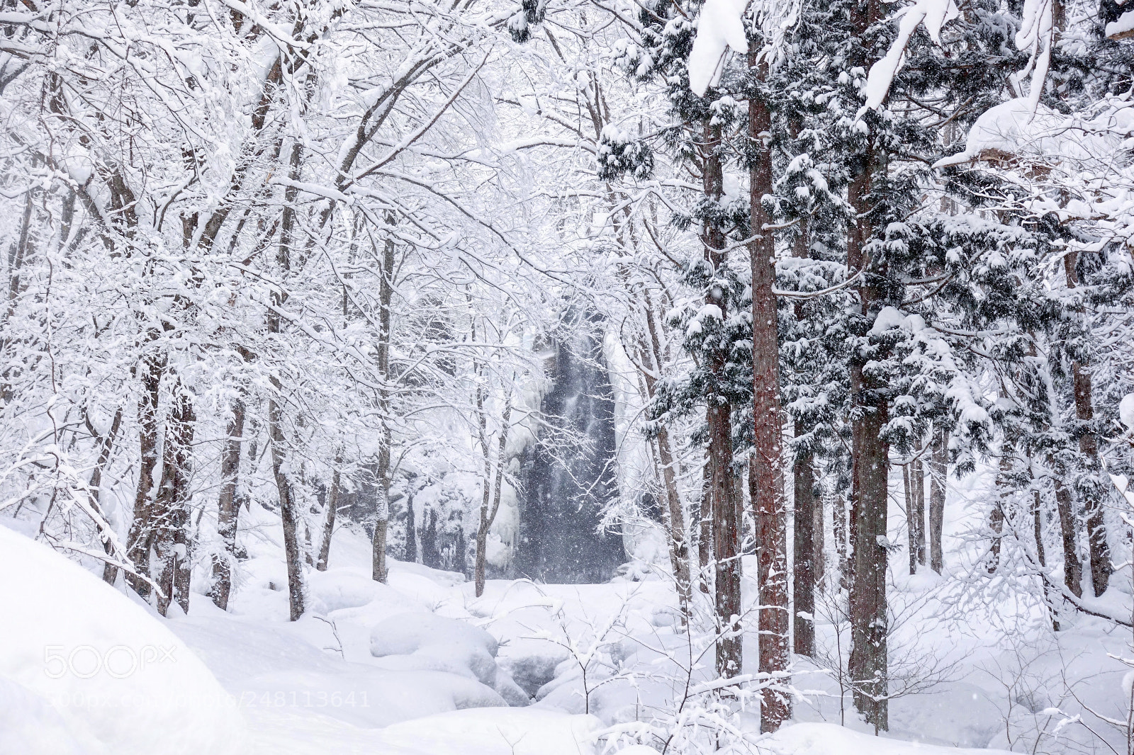 Sony Cyber-shot DSC-RX100 IV sample photo. 雪原深处有飞瀑 photography